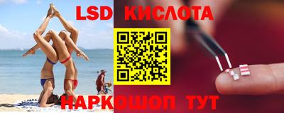 a pvp Камышлов