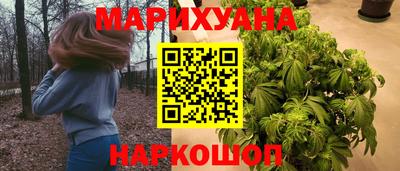 a pvp Камышлов