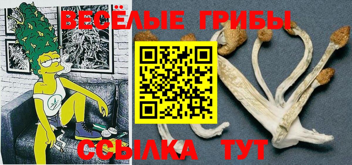 где купить наркоту  Псилоцибиновые грибы прущие грибы  Вход с VPN  Кстово 